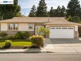 7782 Castilian Rd - Photo 77
