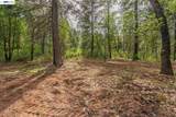 1780 Dutch Creek Rd - Photo 11