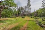 1780 Dutch Creek Rd - Photo 9