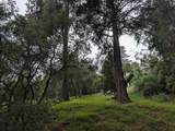 00 Girvin Dr - Photo 5