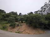 000 Girvin Drive - Photo 9