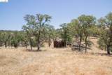 4839 Avenida Lugo Way - Photo 8