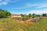 209 Honey Ln - Photo 3