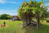 209 Honey Ln - Photo 32
