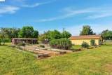 209 Honey Ln - Photo 9