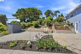 3021 Glynis Dr - Photo 30