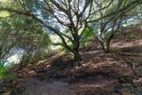 20 Lucille Way - Photo 1