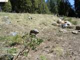29733 Kerns Drive Lot 441 - Photo 3