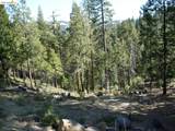 29733 Kerns Drive Lot 441 - Photo 5