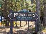 20384 Canyonview Dr - Photo 40
