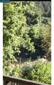 20340 Highway 116 - Photo 5