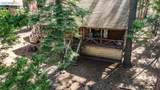 3646 Muriettas Roost - Photo 8