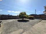 207 Mansfield Dr. - Photo 28