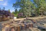 21900 Feather River Dr. - Photo 43