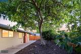 1161 Aspen Dr - Photo 37