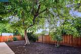 1161 Aspen Dr - Photo 38