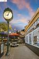 1011 Pomona Ave - Photo 49