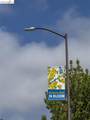 1011 Pomona Ave - Photo 61