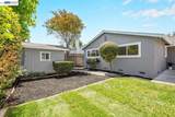 34352 Newton Ct - Photo 41