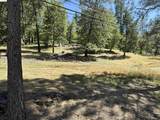 18935 Ferretti Road - Photo 2