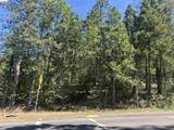18935 Ferretti Road - Photo 12