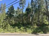 18935 Ferretti Road - Photo 14