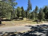 18935 Ferretti Road - Photo 3