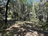 18935 Ferretti Road - Photo 21
