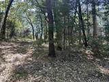18935 Ferretti Road - Photo 22