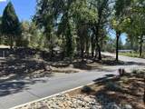 18935 Ferretti Road - Photo 6