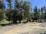 18935 Ferretti Road - Photo 8