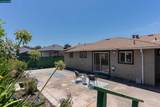 2540 Tara Hills Drive - Photo 66