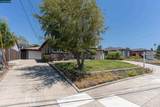 2540 Tara Hills Drive - Photo 69