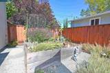 513 Gabriel Ct - Photo 34