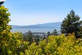 1409 Scenic Ave - Photo 49