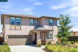461 Ramos Ranch Road - Photo 3
