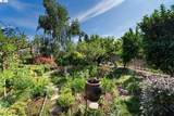 37955 2nd St - Photo 41