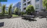 1655 California Blvd 227 - Photo 18