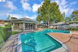 121 Buckingham Dr 25 - Photo 21