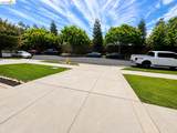 106 Arezzo St - Photo 43