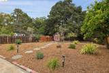 3323 Pinole Valley Rd - Photo 56
