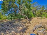327 Steven Cir - Photo 46