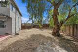 3017 Ferngrove Way - Photo 69