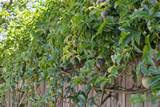 6628 Chabot Rd - Photo 46