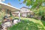 877 Curlew Rd. - Photo 29