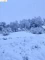 14405 Edgemont Acres Rd - Photo 46