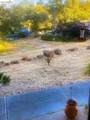 14405 Edgemont Acres Rd - Photo 47