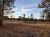 12232 Dry Creek Rd - Photo 26