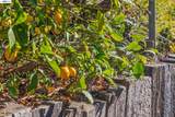 5624 Greenridge Rd - Photo 95
