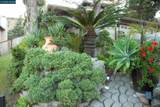 5378 Conestoga Way - Photo 73